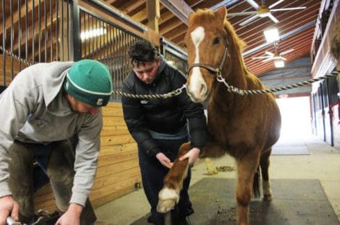 Green Chimneys students learn what it's like to be a farrier